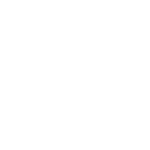 E Car